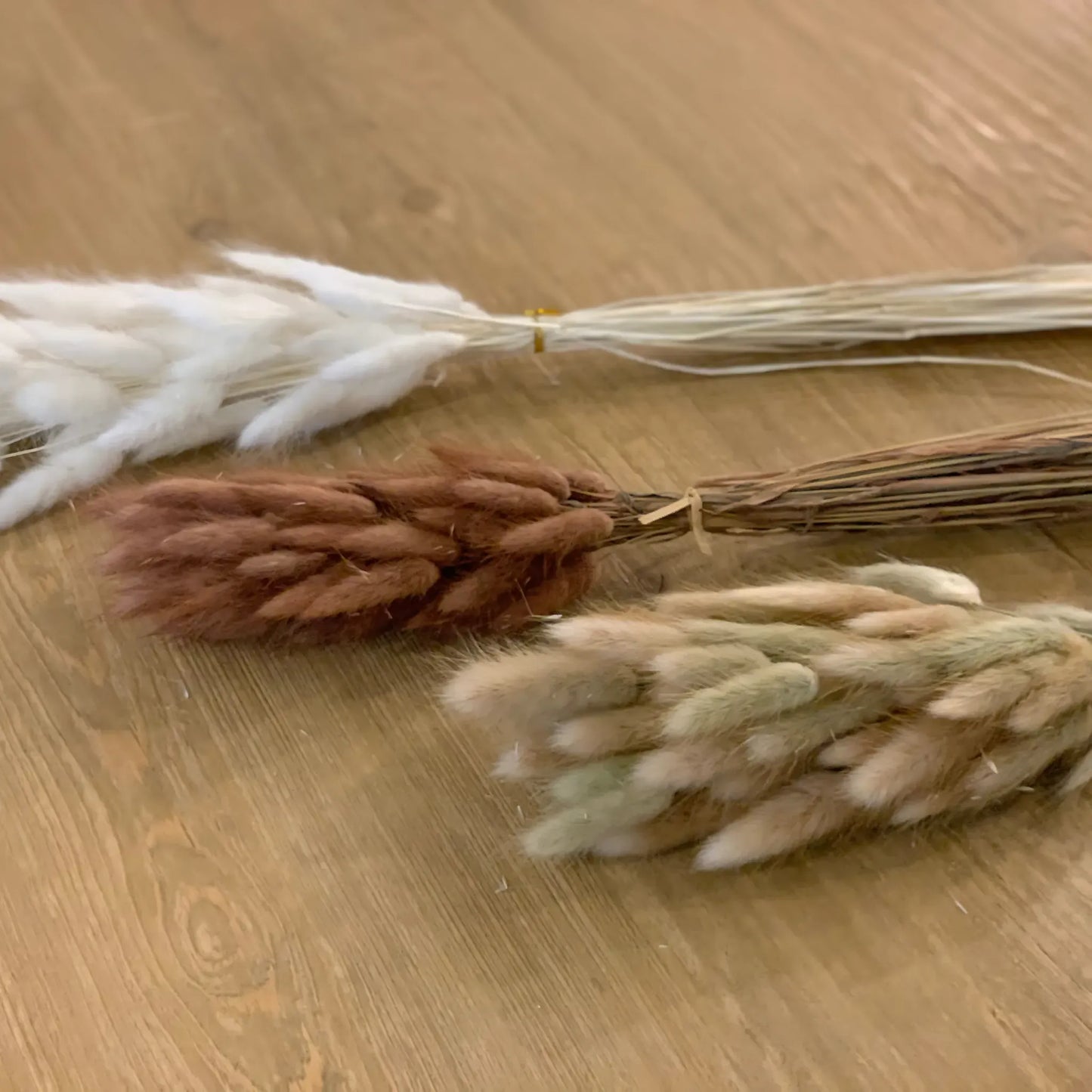 Dried Bunny Tail Grass – 60 Natural Stems Home Decor