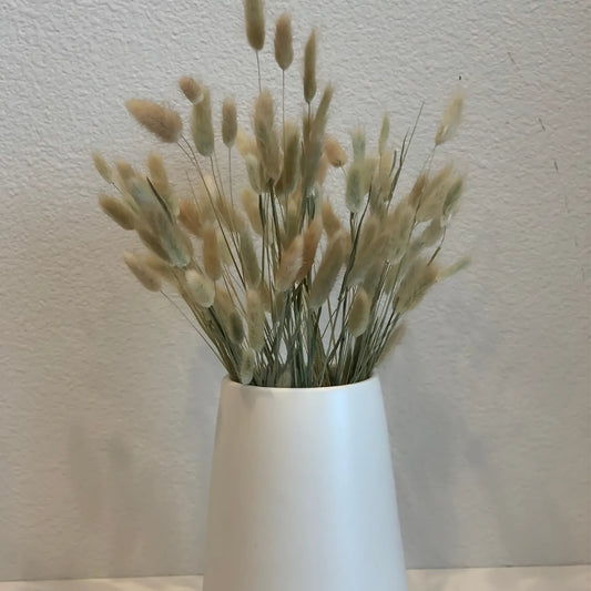Natural Dried Bunny Tail Grass – 60 Natural Stems Home Decor