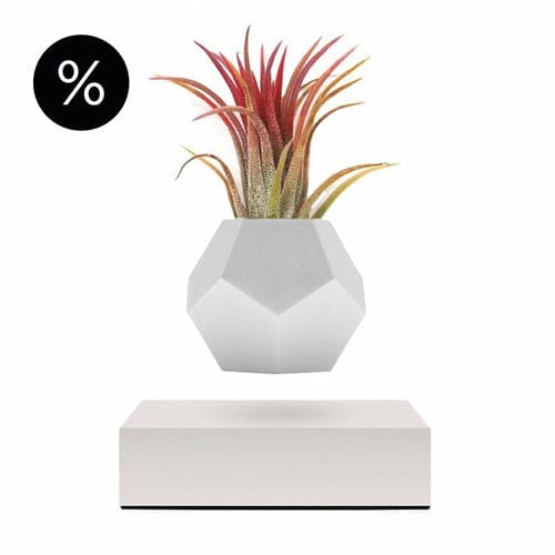 White Lyfe Planter Home Decor