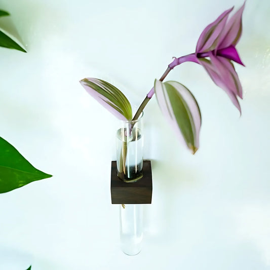 Magnetic Propagation Vase – Handmade Black Walnut Wall Planter Home & Garden