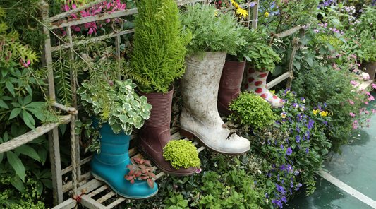 The Art of Choosing Flower Pots: Practical Tips for a Stunning Container Garden🌺🌸