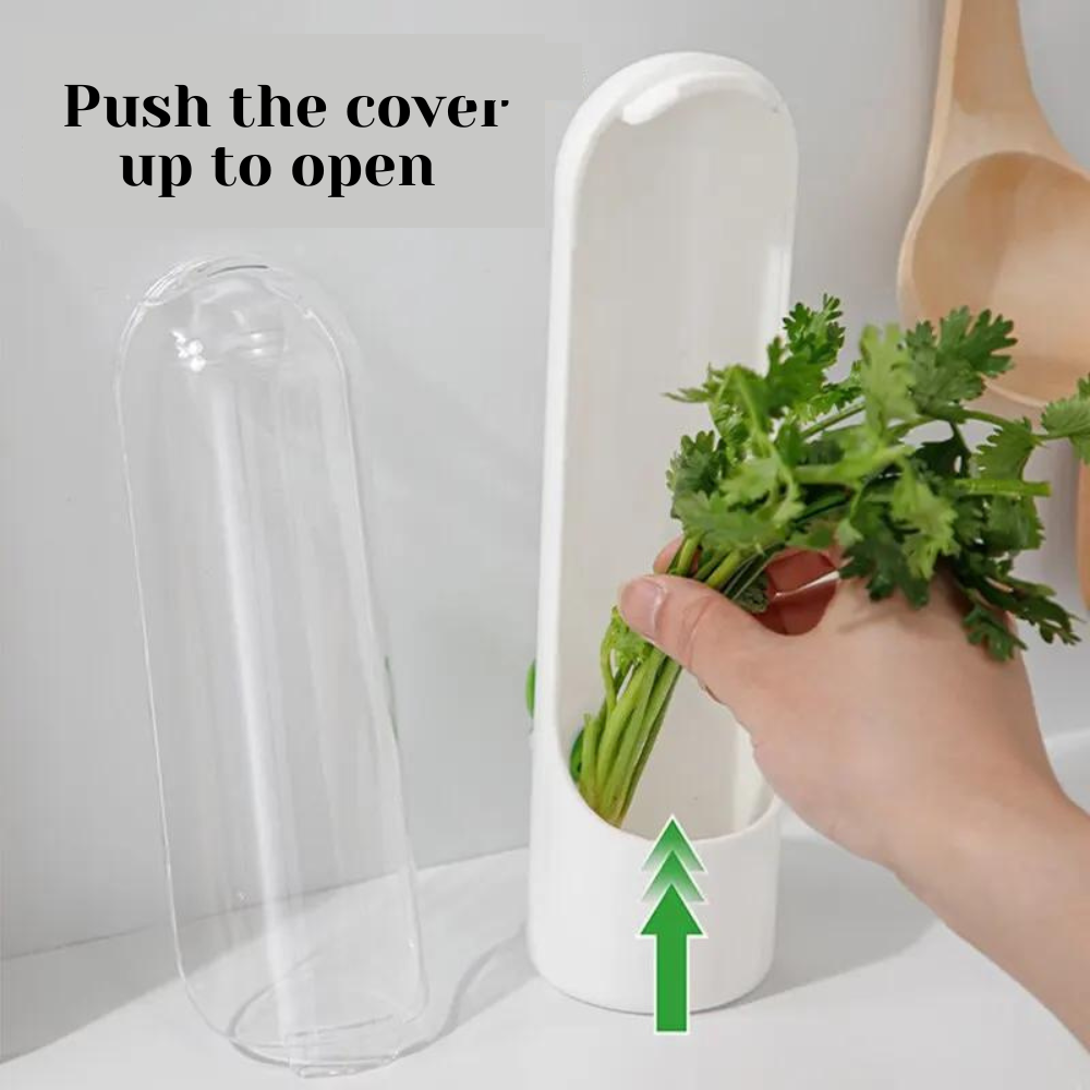 Herb and Vegetable Keeper