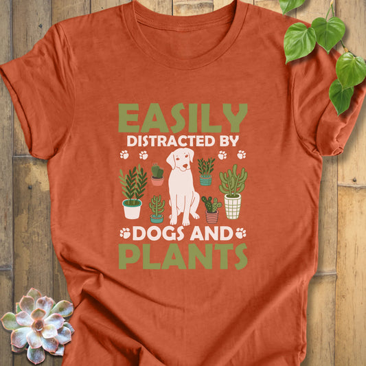Cute dog gift