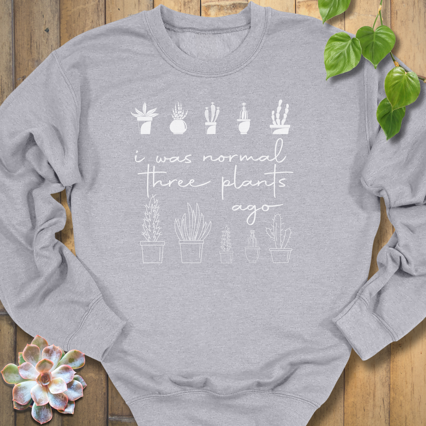 I Was Normal Sweatshirt