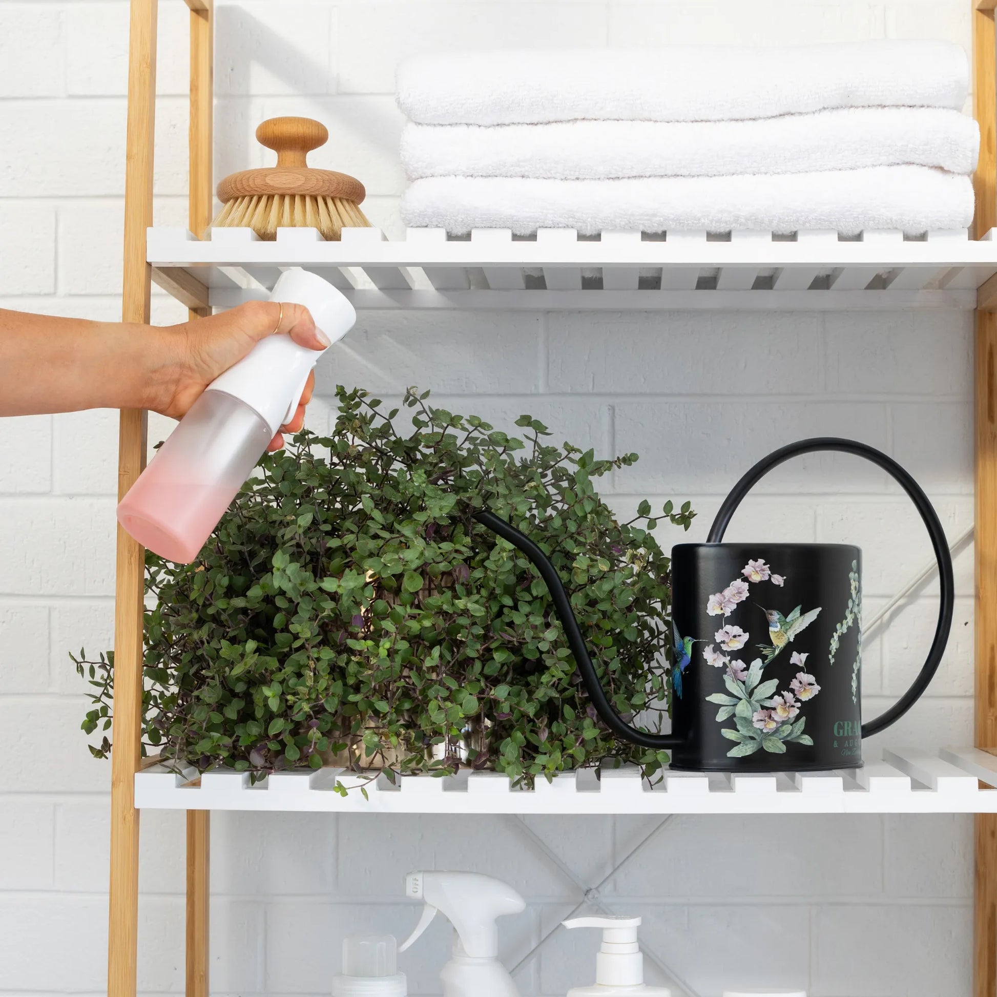 black watering can for indoor plants