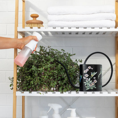 black watering can for indoor plants