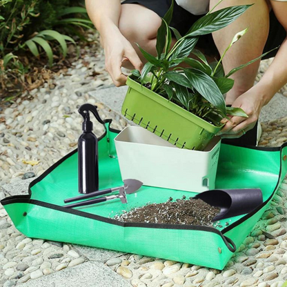 Houseplant Tools for Succulents, Bonsai and Small Houseplants, 8-14 Pieces