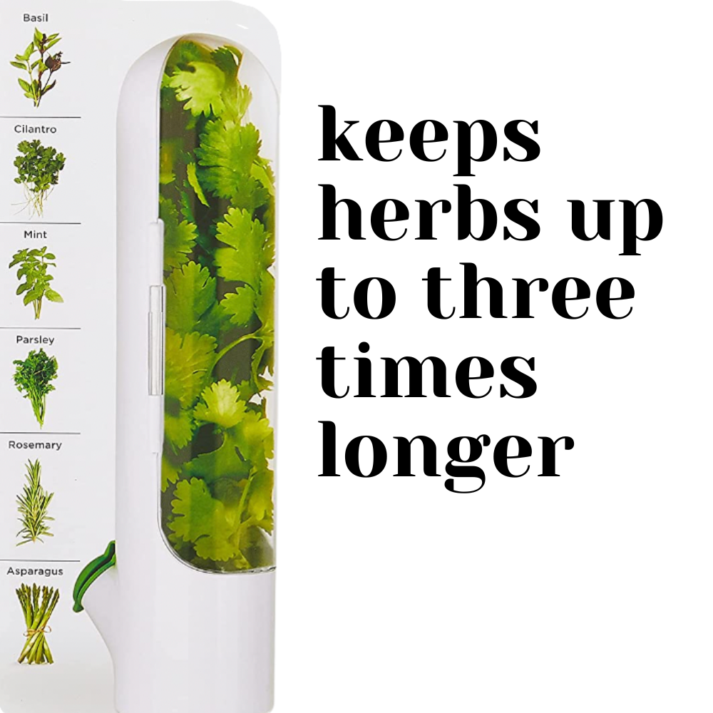 BPA-Free Herb Container 