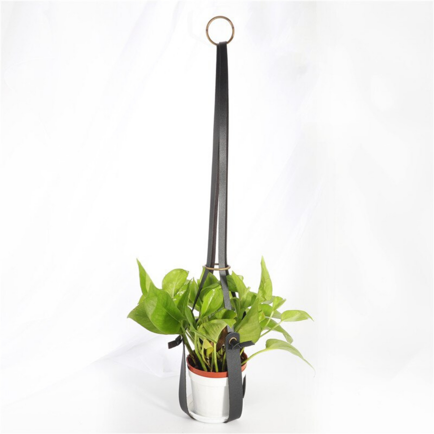 hanging plant hanger