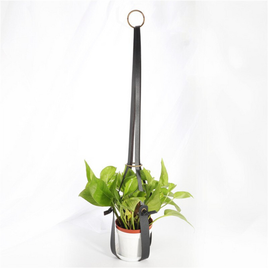 hanging plant hanger