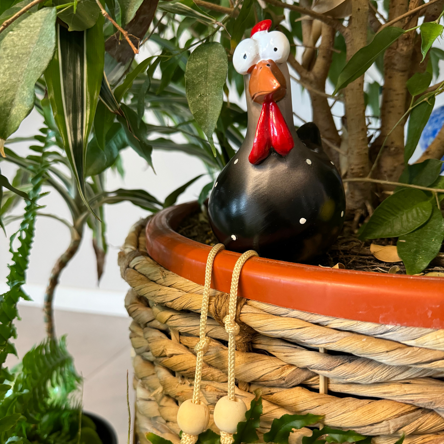 Funny Ceramic Chicken, Indoor Home Decor, Brighten up your space!