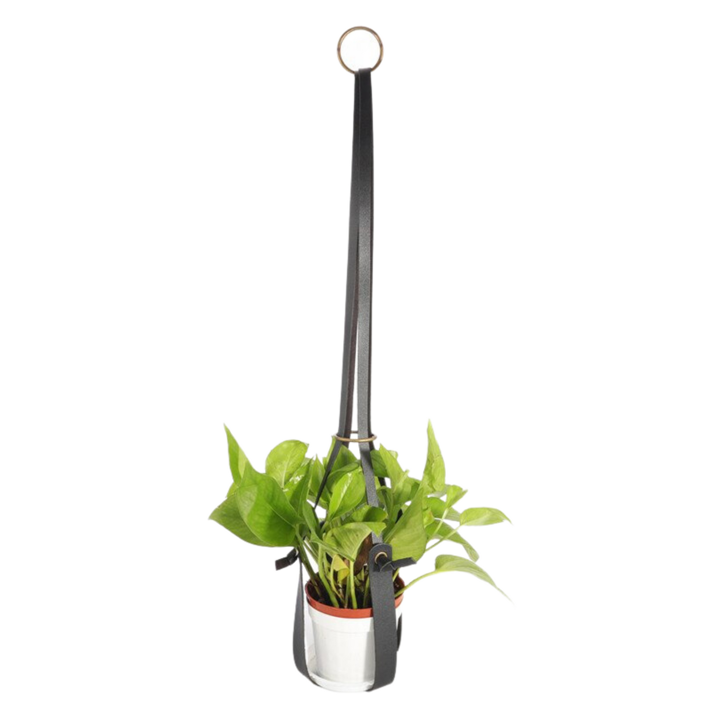 hanging leather plant holder