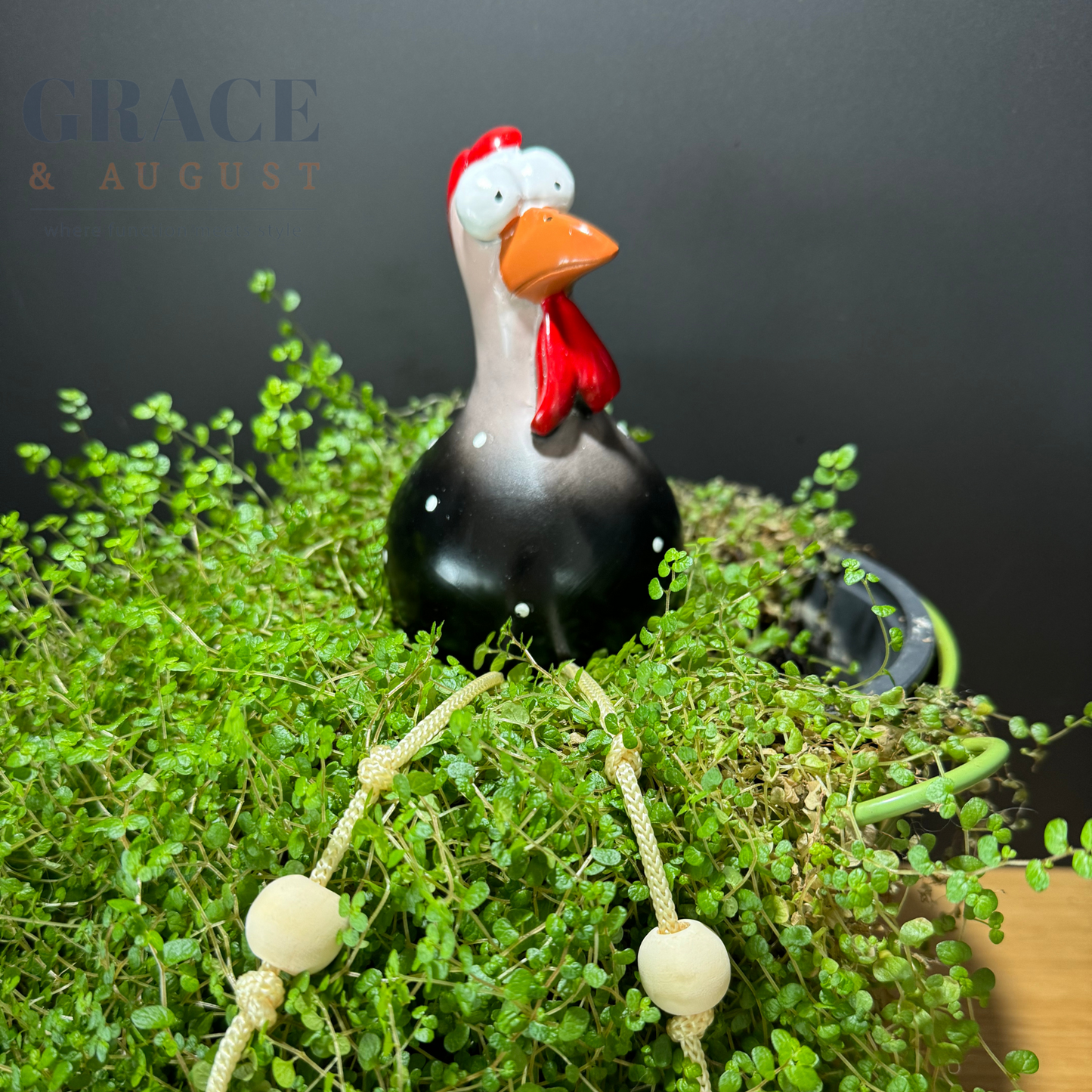 Funny Ceramic Chicken, Indoor Home Decor, Brighten up your space!