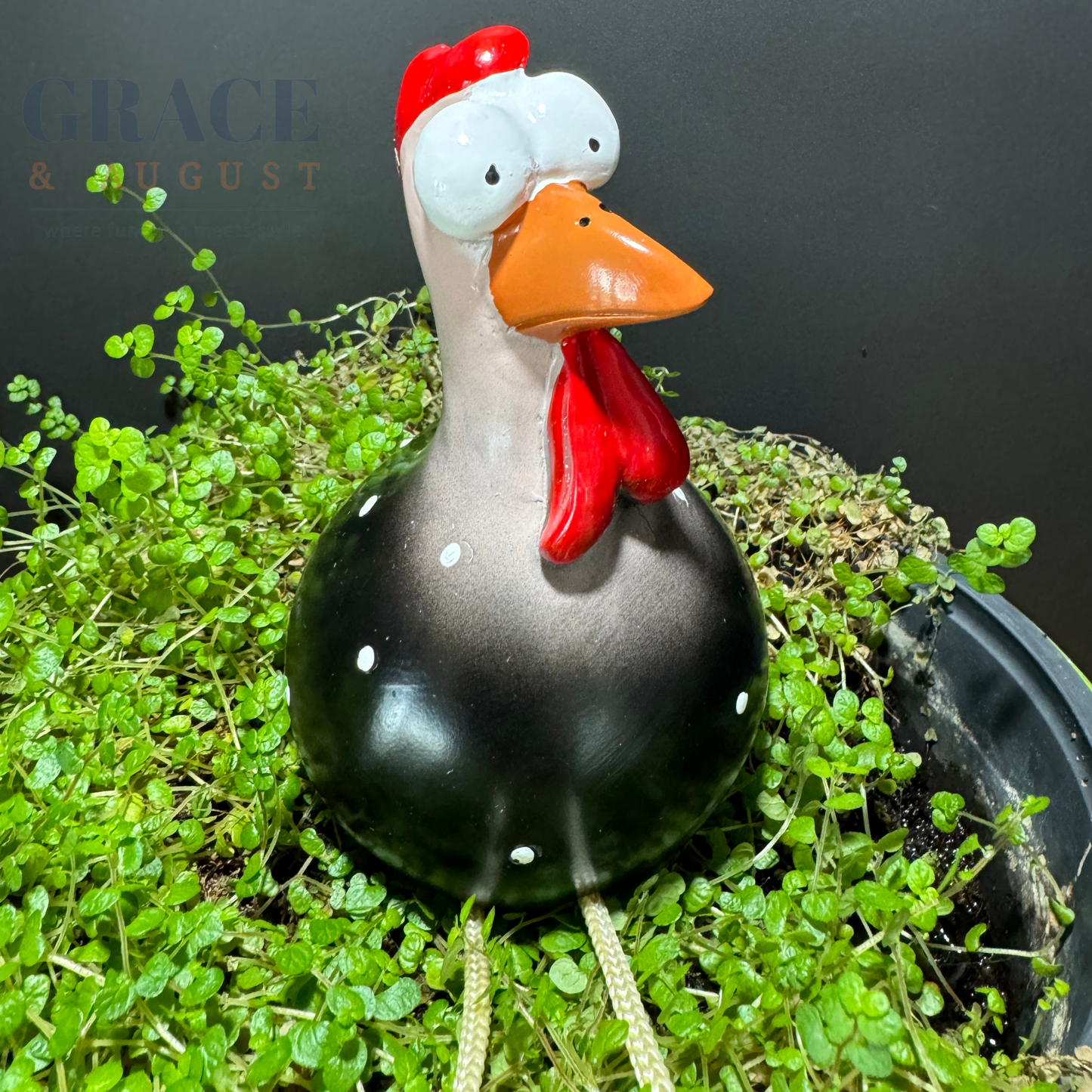 Funny Ceramic Chicken, Indoor Home Decor, Brighten up your space!