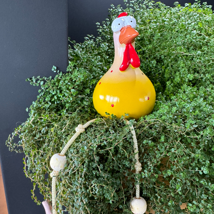 Funny Ceramic Chicken, Indoor Home Decor, Brighten up your space!