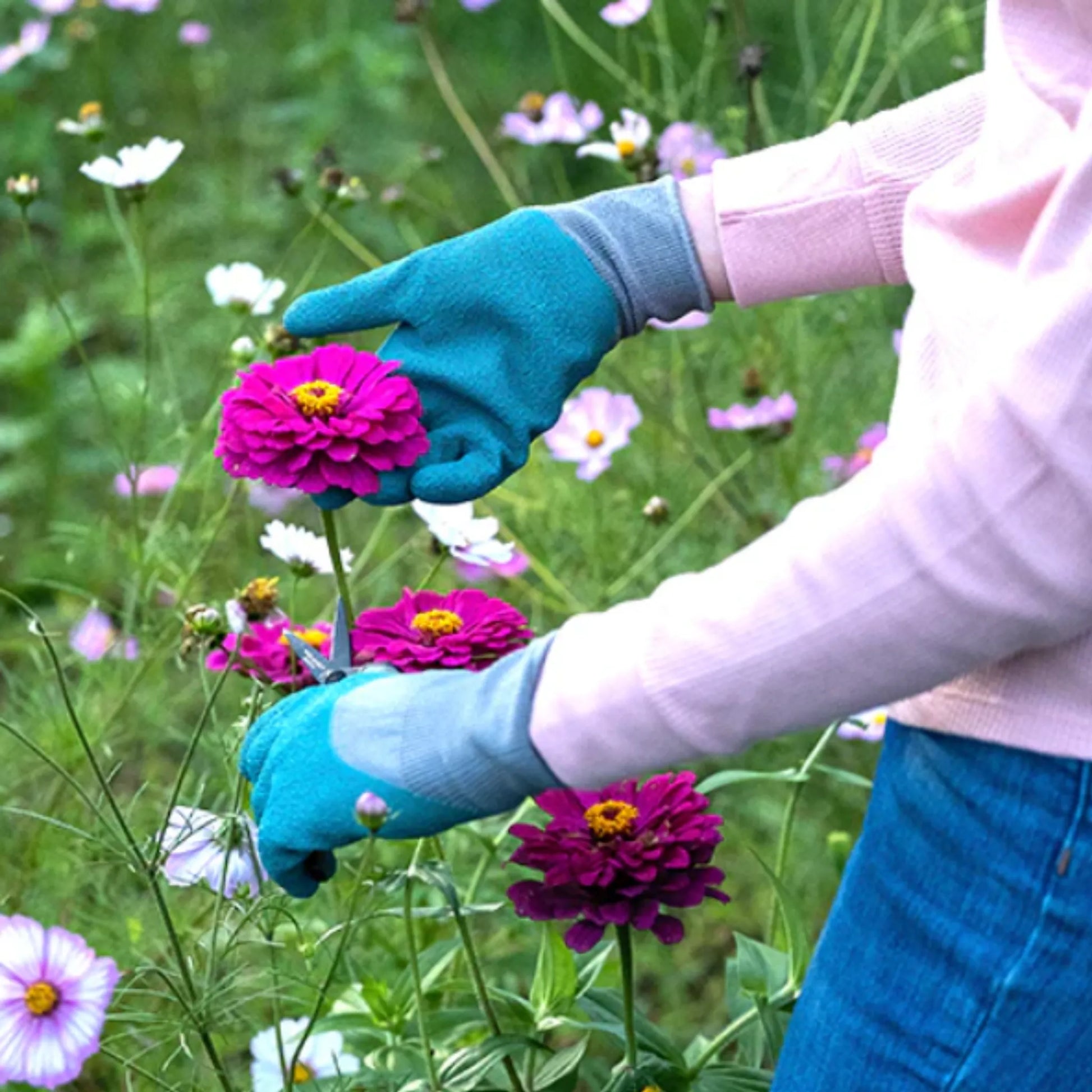 Turquoise latex gardening gloves with aqua floral knit design used for cutting pink flowers in a garden
