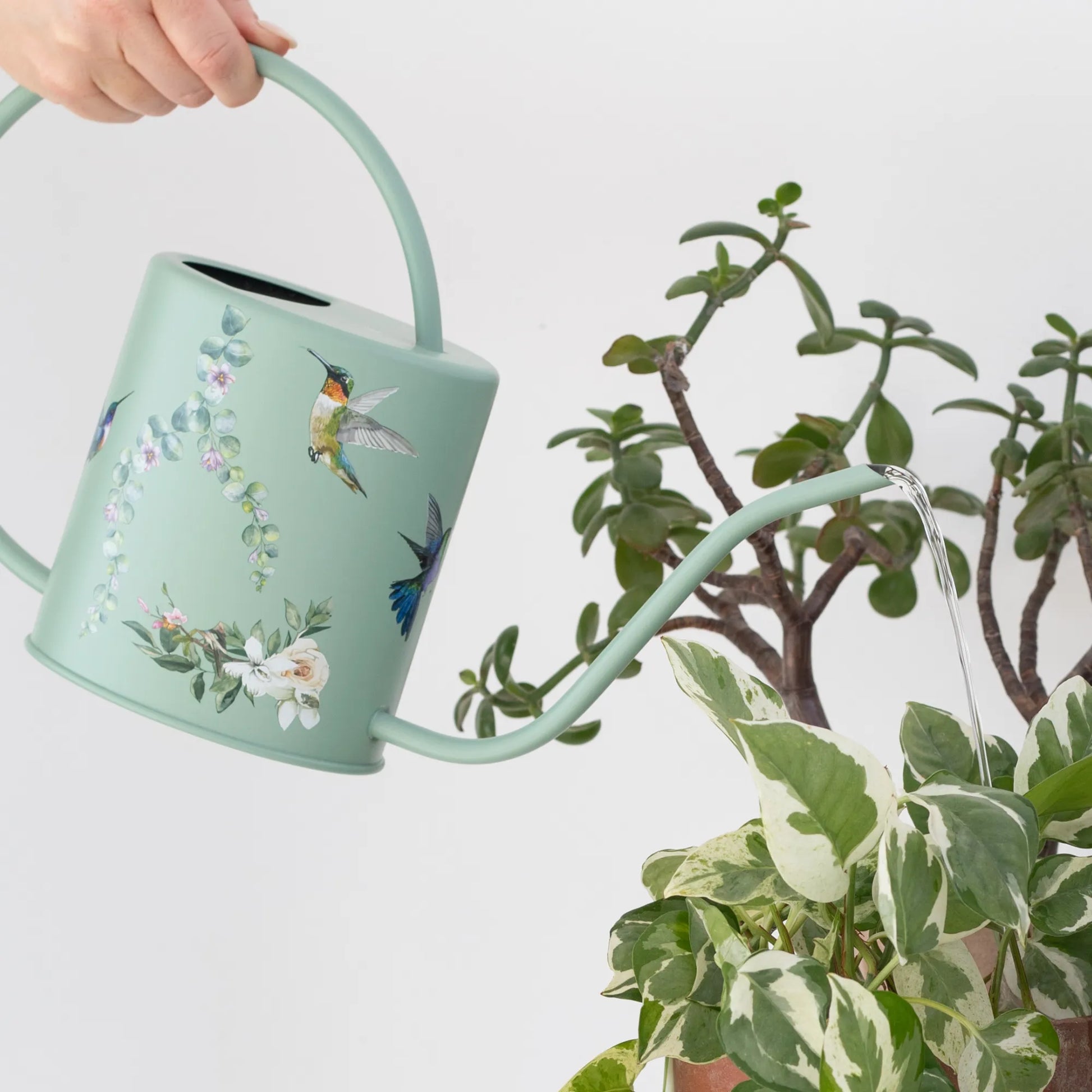 indoor watering can