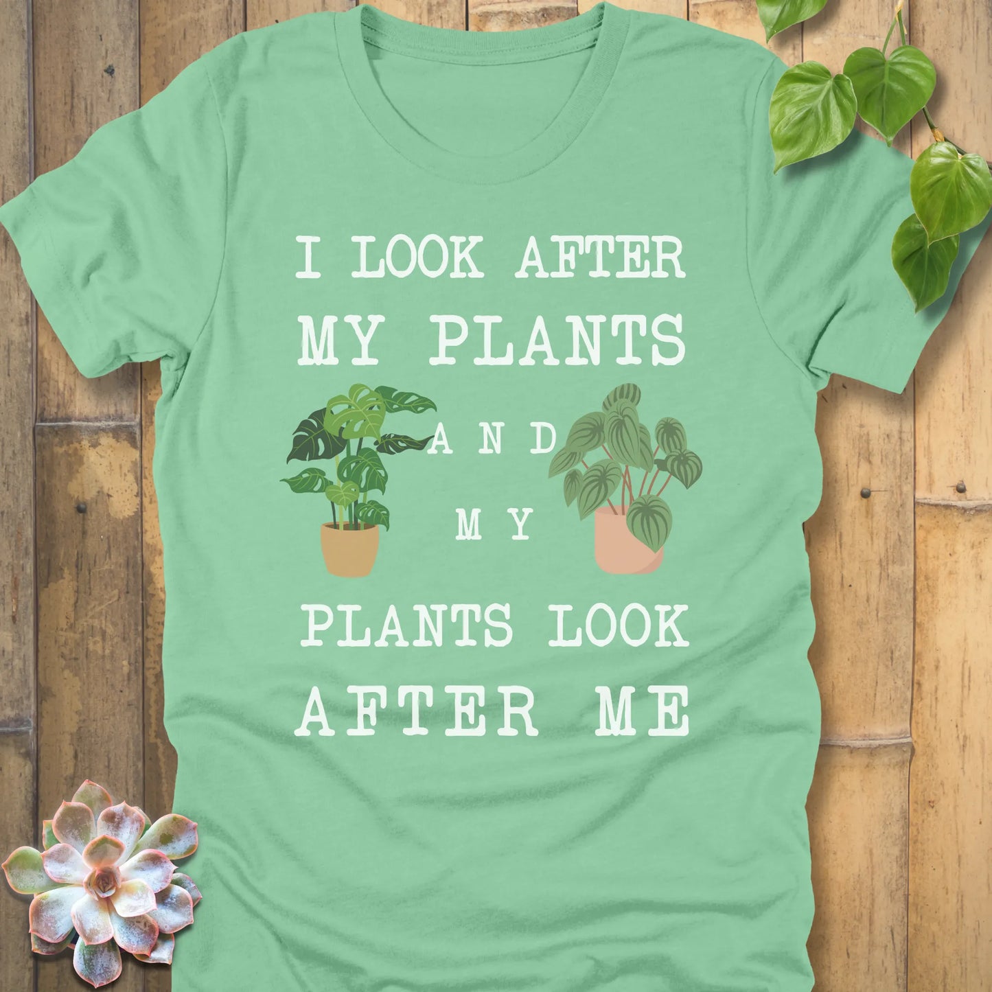 Heather  Mint Bella Canvas 3001 t-shirt with white writing saying I look after my plants and my plants look after me. I have two house plants on each side. 