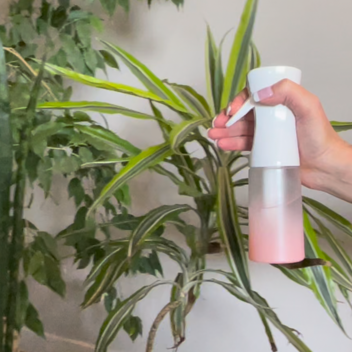  Continuous mist spray bottle