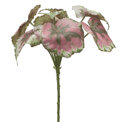 Decorative Leaf Set