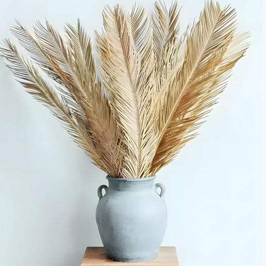 Lifelike Cycas Decor