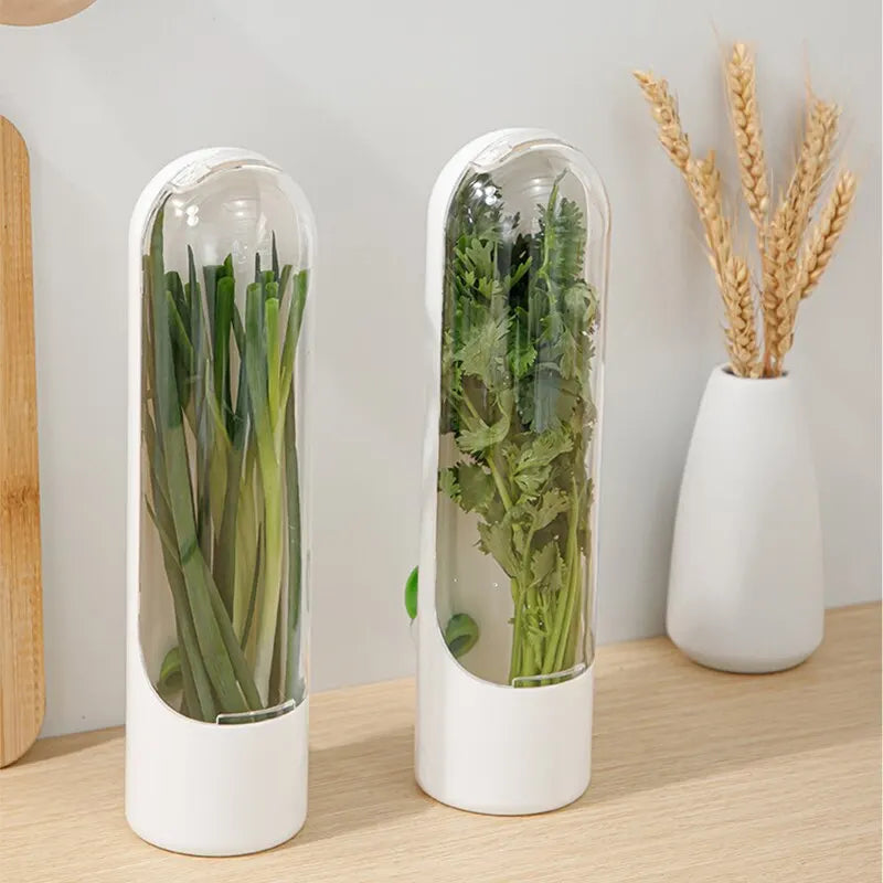 herb fridge storage