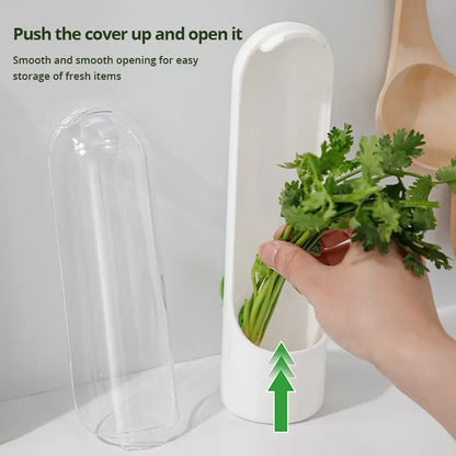 Refrigerator Herb Saver 