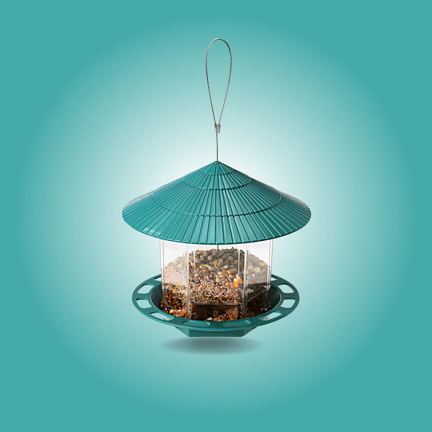 Transparent bird feeder
