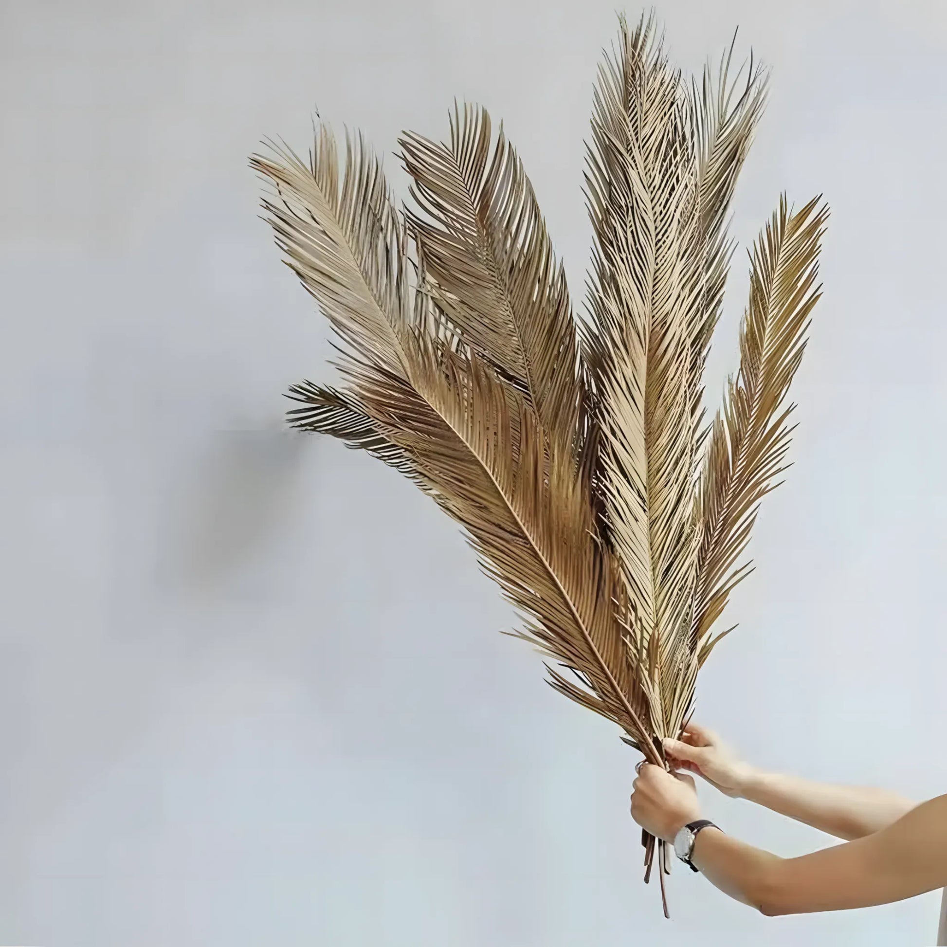 Artificial Cycas Plant Home Decor