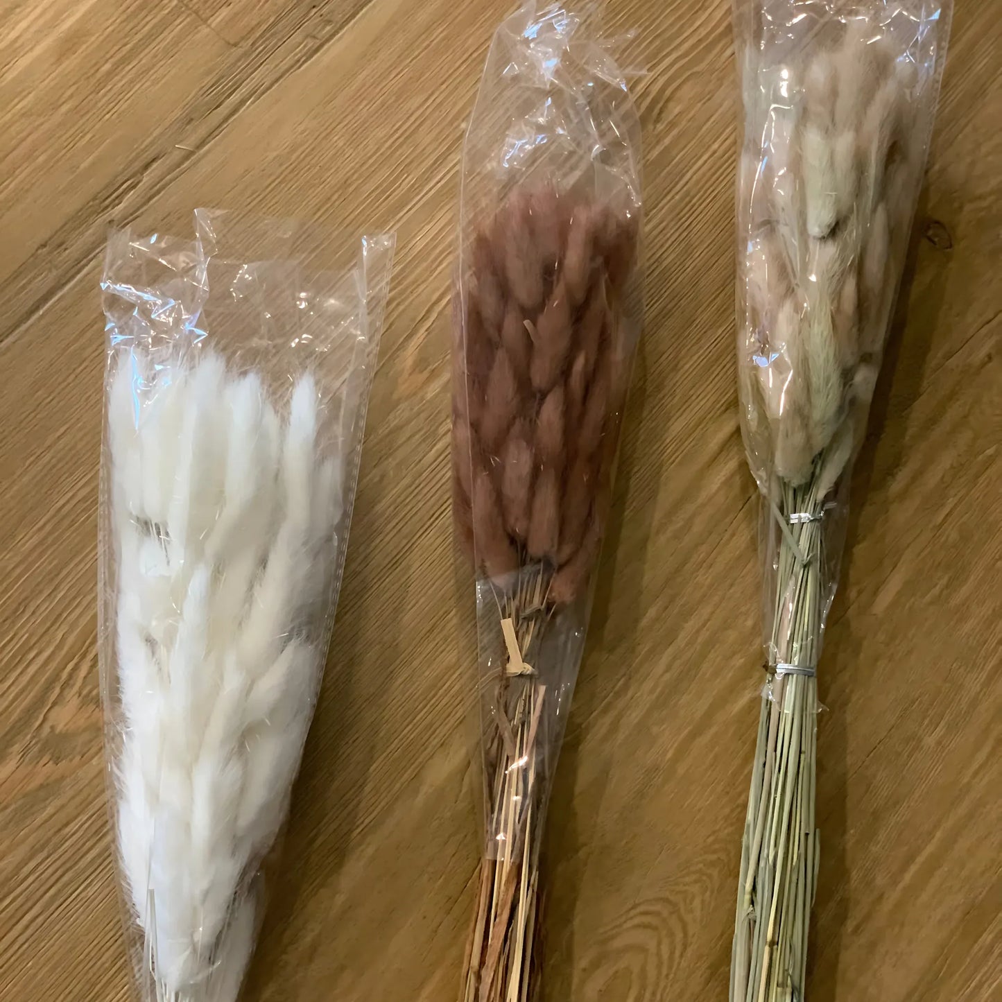 Dried Bunny Tail Grass – 60 Natural Stems Home Decor