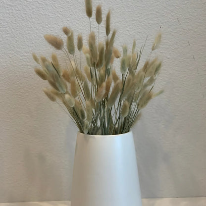 Natural Dried Bunny Tail Grass – 60 Natural Stems Home Decor
