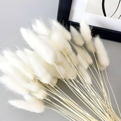 Vintage white Dried Bunny Tail Grass – 60 Natural Stems Home Decor