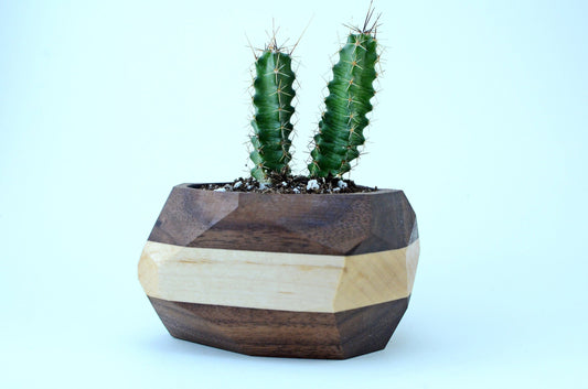 Geometric Cactus & Succulent Planter Home & Garden