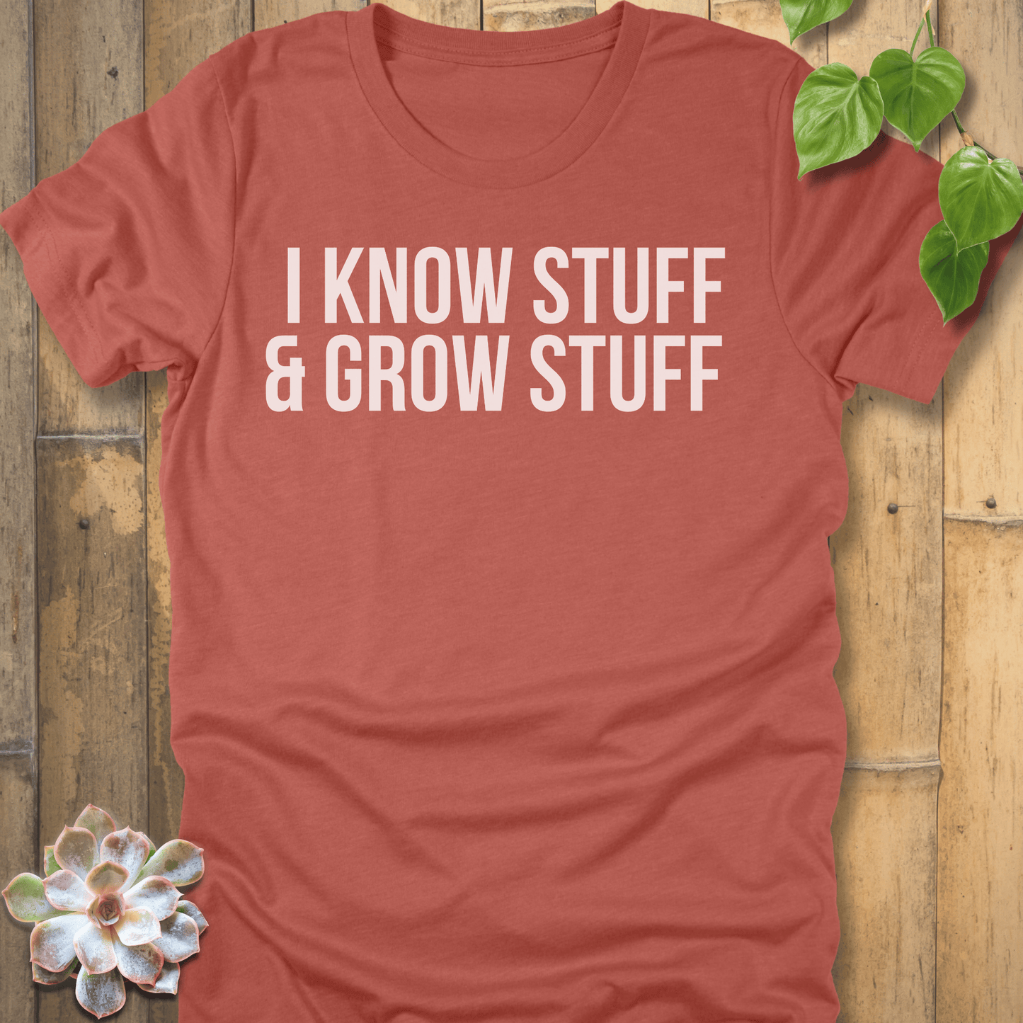 Heather Clay / S I Know Stuff T-shirt T-Shirt