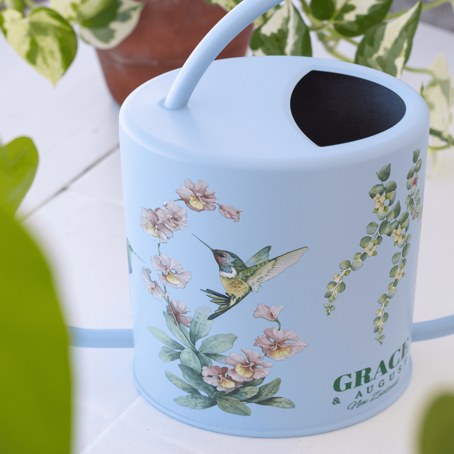 Indoor Watering Can with Spray Mist Bottle | Three color options Garden Accessories
