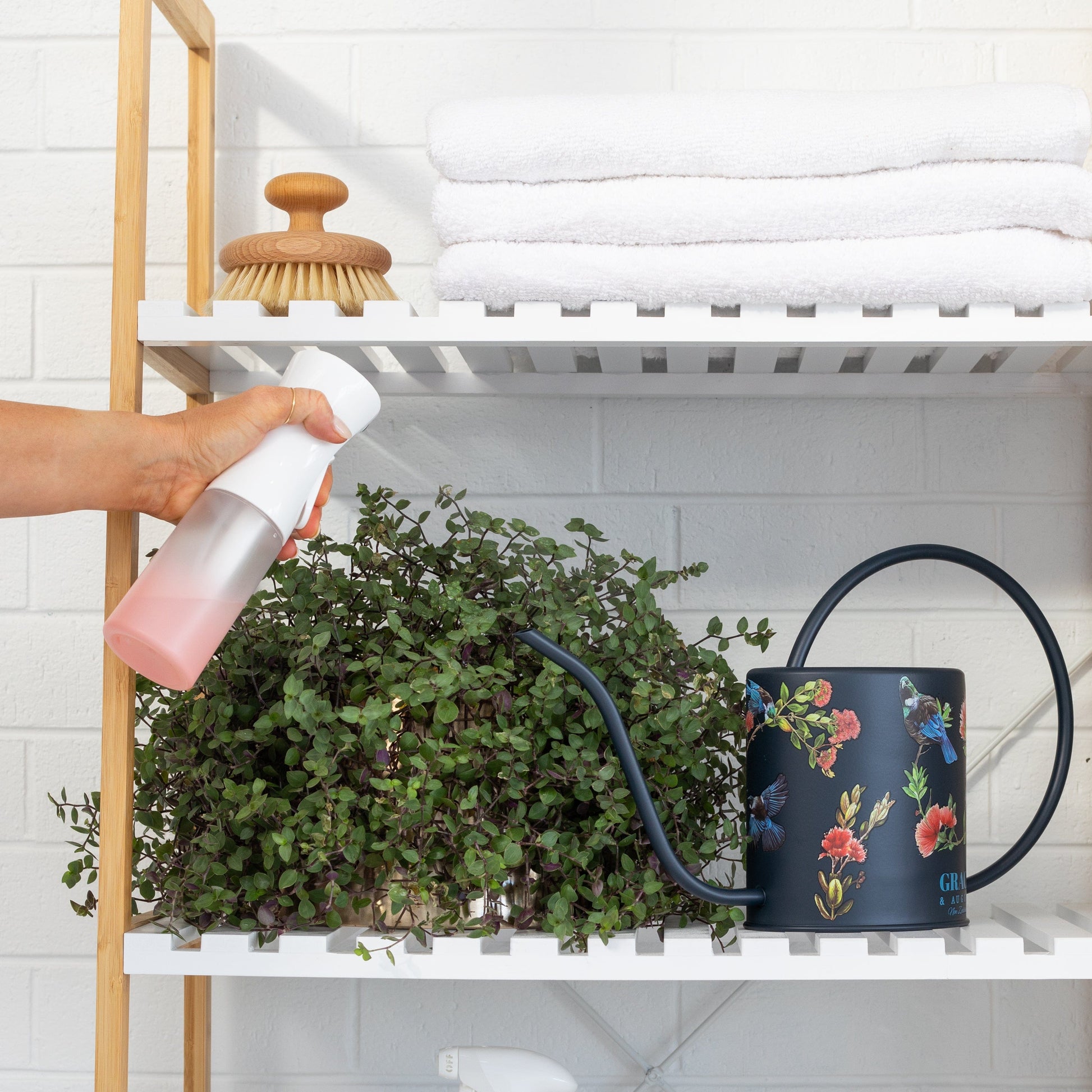 Indoor Watering Can with Spray Mist Bottle | Three color options Garden Accessories