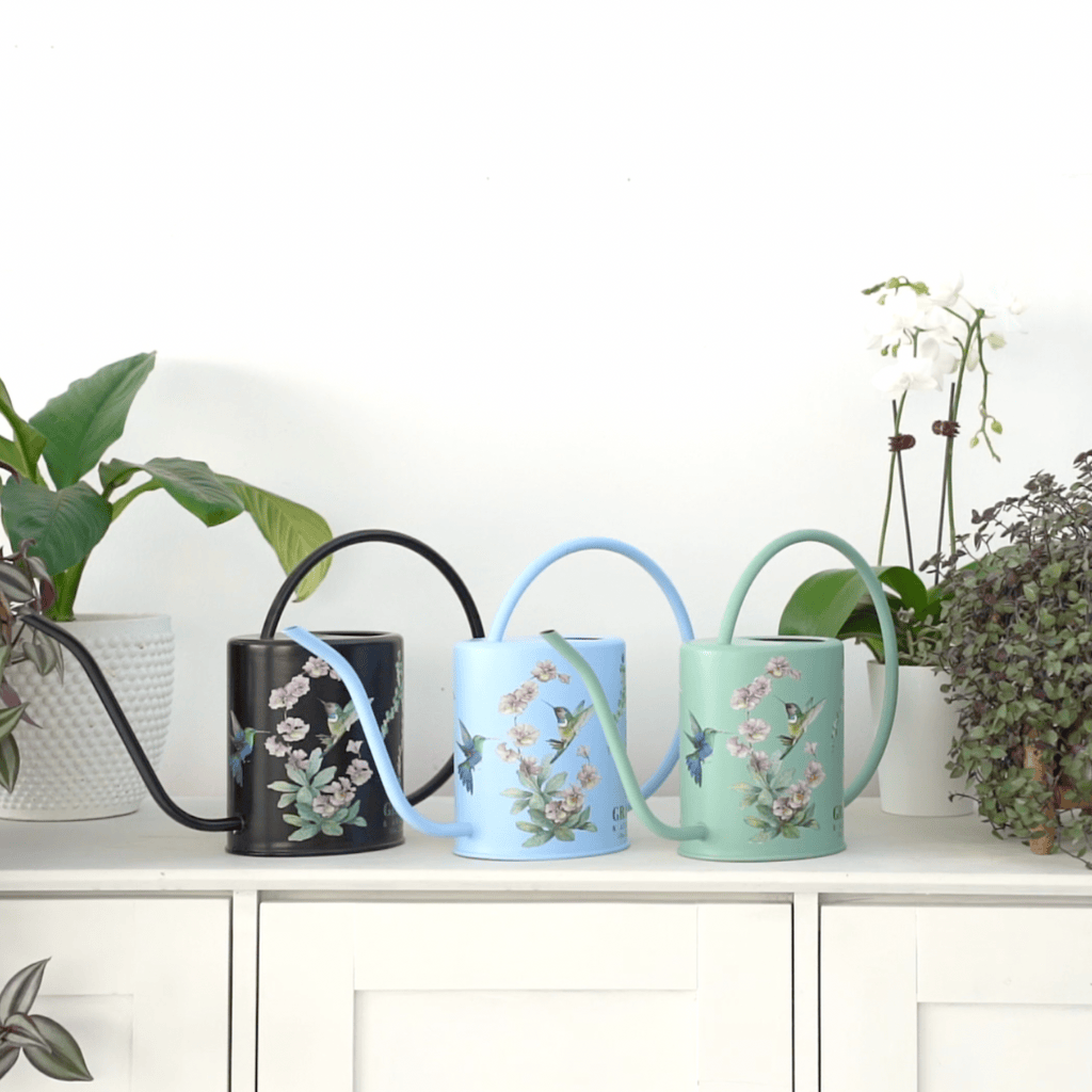 Indoor Watering Can with Spray Mist Bottle | Three color options Garden Accessories