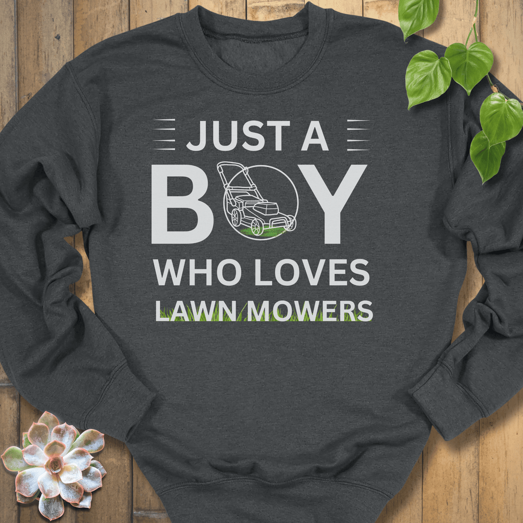Dark Heather / S Just A Boy Sweatshirt Sweatshirt