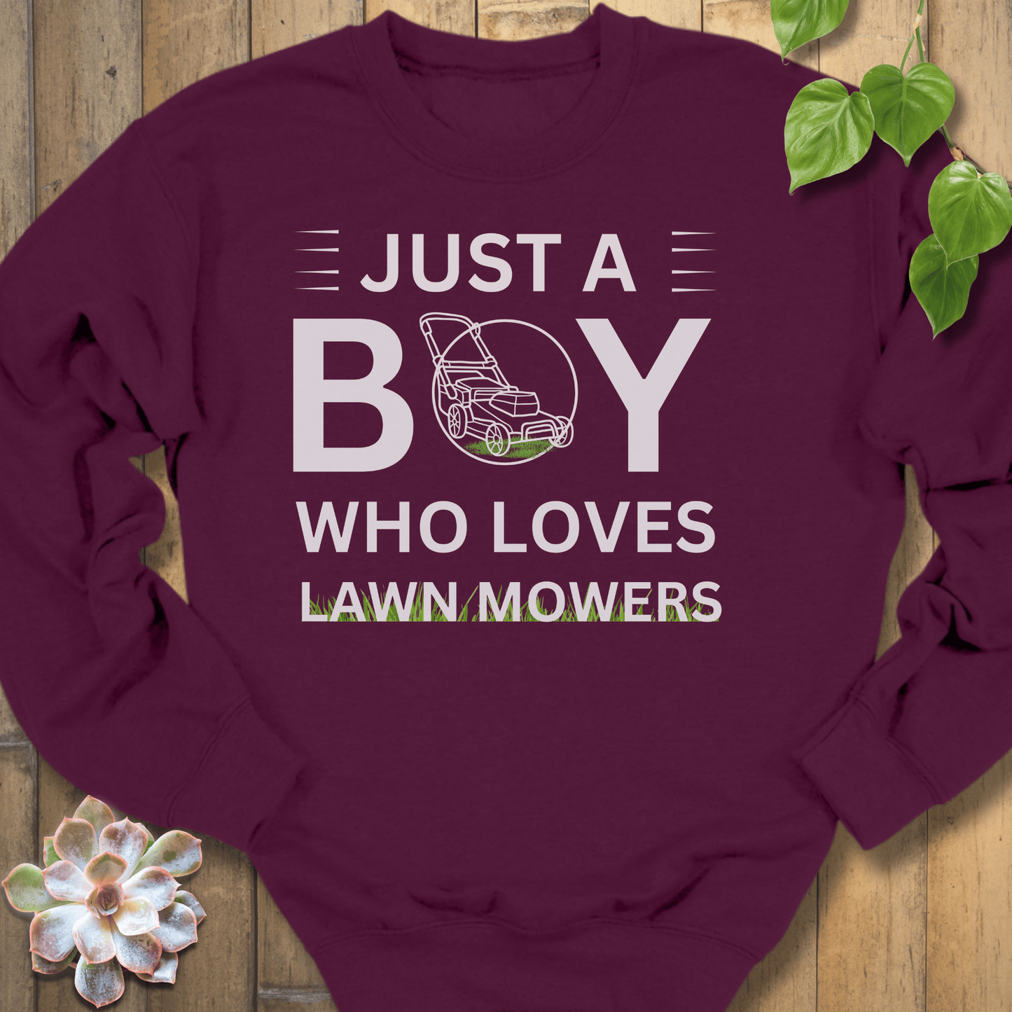 Maroon / S Just A Boy Sweatshirt Sweatshirt