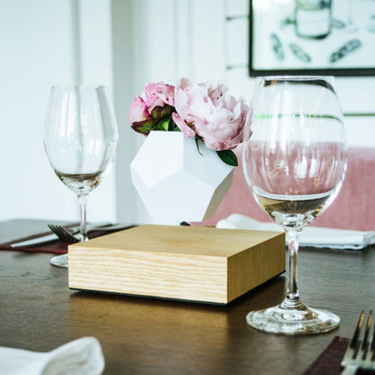 Lyfe Planter Home Decor