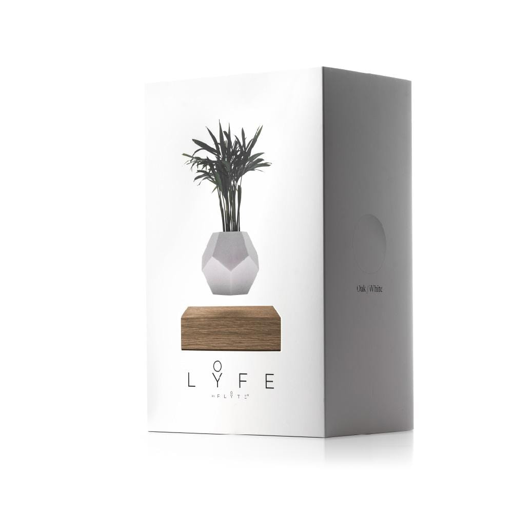 Lyfe Planter Home Decor