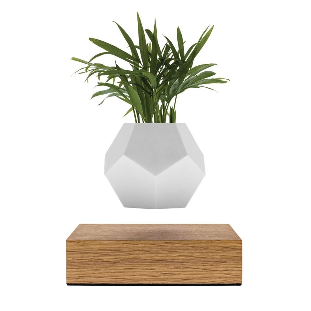 Lyfe Planter Home Decor