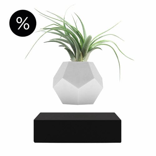 Black Lyfe Planter Home Decor