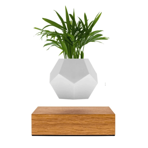 Oak Lyfe Planter Home Decor