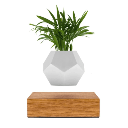Oak Lyfe Planter Home Decor