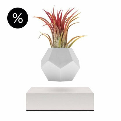 White Lyfe Planter Home Decor