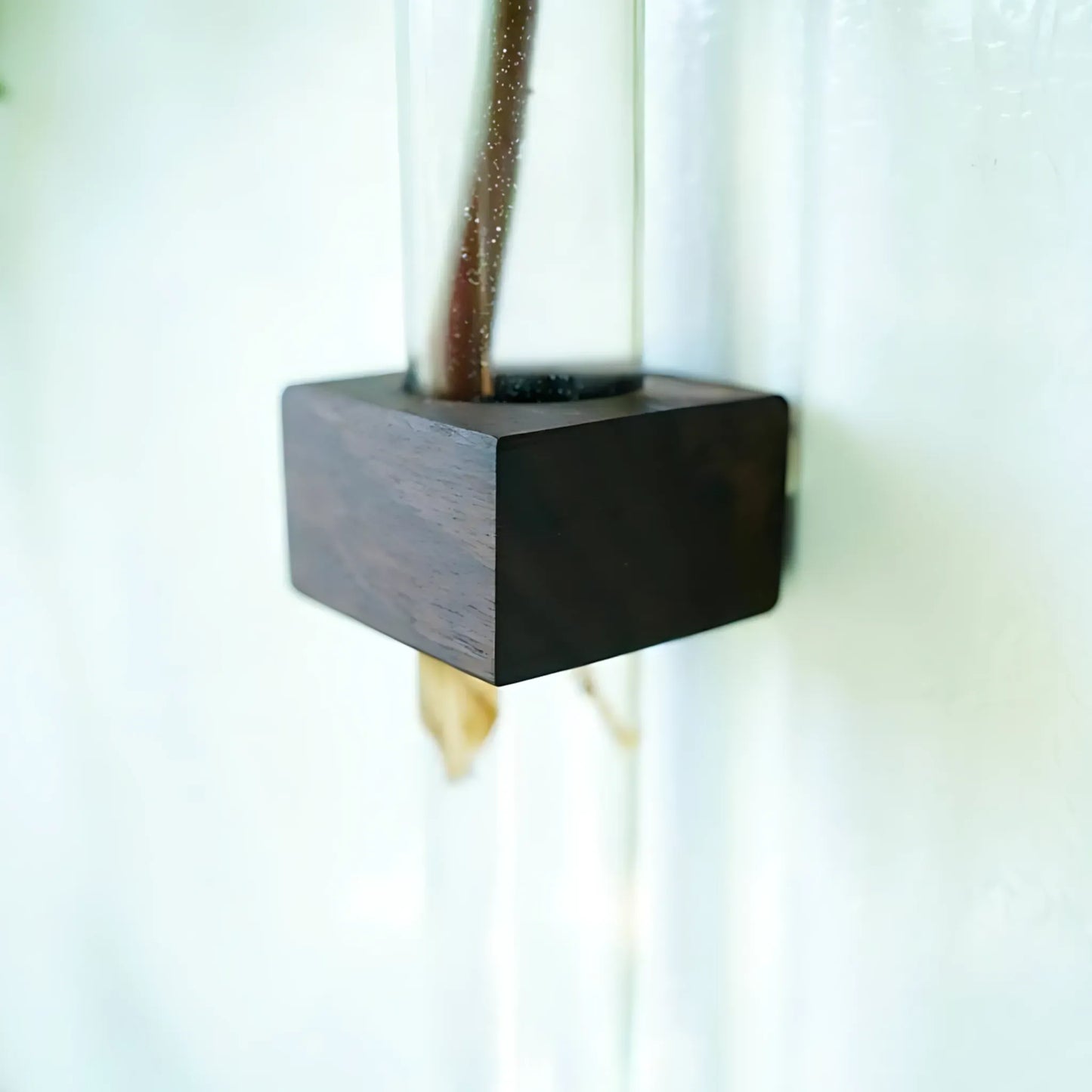 Magnetic Propagation Vase – Handmade Black Walnut Wall Planter Home & Garden