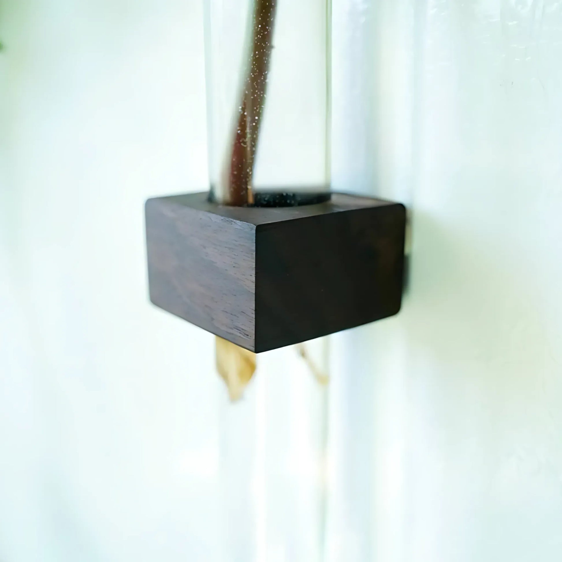 Magnetic Propagation Vase – Handmade Black Walnut Wall Planter Home & Garden