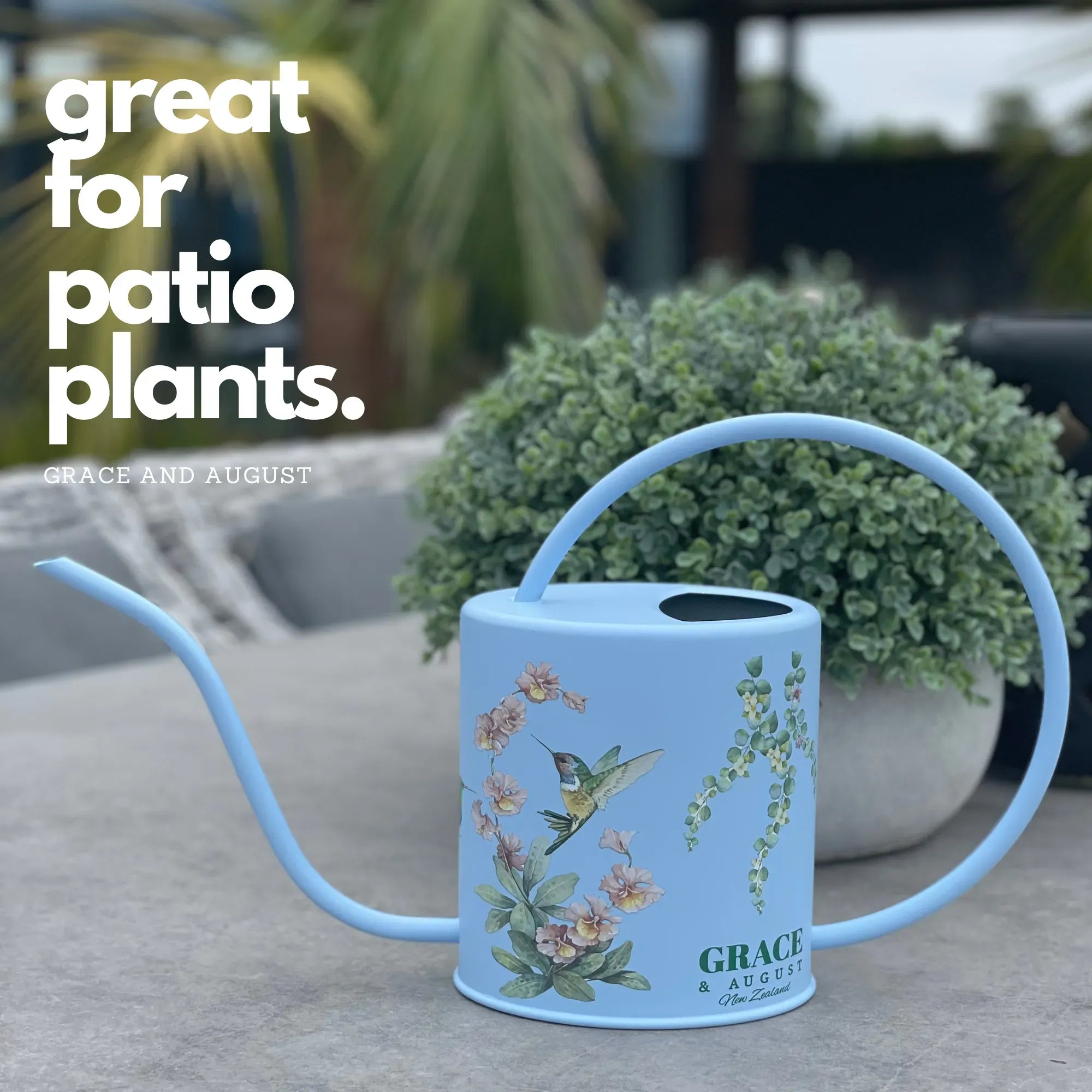 Metal Indoor Watering Can | Blue Garden Accessories