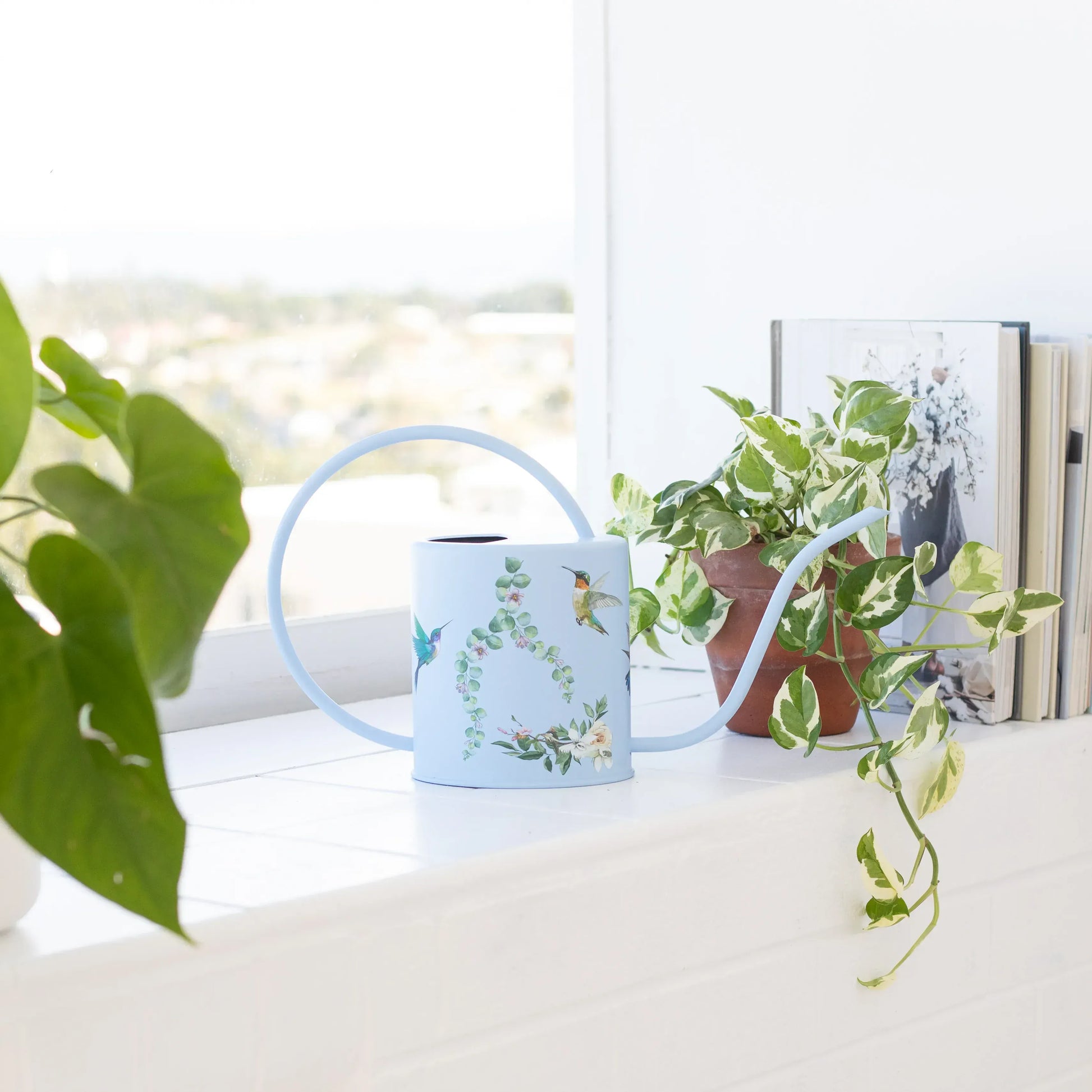 Metal Indoor Watering Can | Green or Blue Garden Accessories